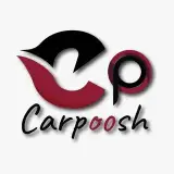 فروش لوازم یدکی و تزئینی خودرو