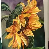 گچبری مدرن و پتینه