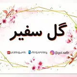 گلفروشی سفیر   غرب تهران