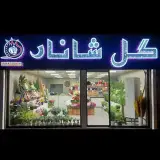 گل شانار