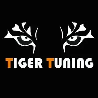 تعمیرگاه تخصصی تایگر تیونینگ