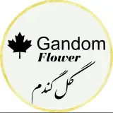Gandom Flower | گل گندم تهرانسر