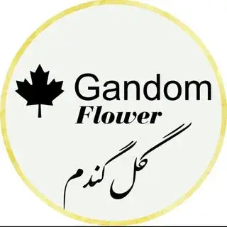 Gandom Flower | گل گندم تهرانسر