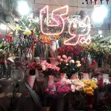 گل فروشی هاشمی