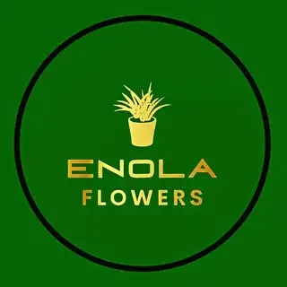 enola