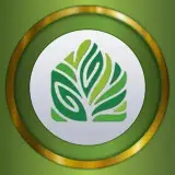 اکادمی فوق تخصصی زبان نخل