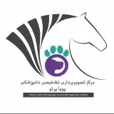 تصویربرداری دامپزشکی پویاپرتو در شیراز