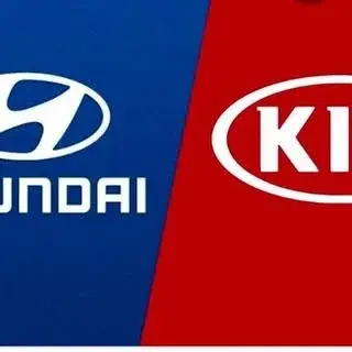 Professional Hyundai