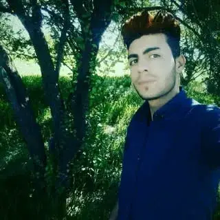 شهریار باطریساز