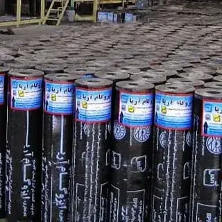 علیرضا عسگردون