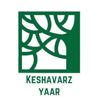 Ad 100915
