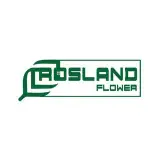 رزلند|گرین وال| دیوار سبز| روف گاردن| فضای سبز| تشریفات| اصفهان