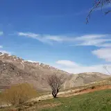 قاسمی