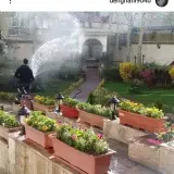 طراحی فضای سبز