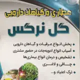 عطاری وگیاهان دارویی گل نرگس