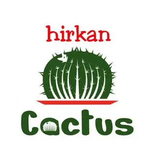 hirkancactus