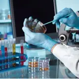 آزمایشگاه تشخیص طبی اسلامشهر