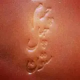 صفحه رسمی چرم چهلستون