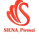 کیف و کفش چرم طبیعی سی ینا
