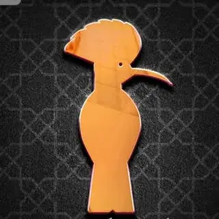 دکتر پوپک رنجبر