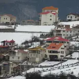 محسن بهنامی نیا