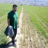 مجتبی حسن پور