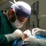 دکتر عباس برهمند