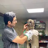 ophthalmologistدكتر محسن قديرى