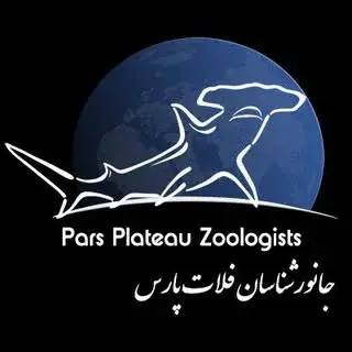 PZG