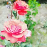 احمد عظيم زاده