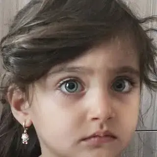 موسسه  فروغ زندگی تبریز