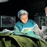 ‍⚕️دکتر صبا میرابوالفتحی