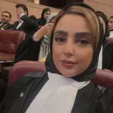 وکیل| وحیده طیبی