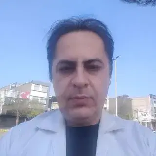 Dr Hamed  Hamedi