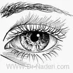 Dr.Naderi