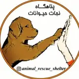 پناهگاه نجات حیوانات