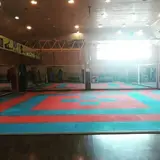 rahpouyan_deihim