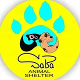جان پناه صبا | پناهگاه حیوانات صبا