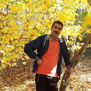 mehdi mazaheri ??  وین.در