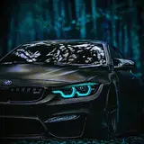 wraping & detailing