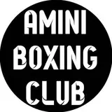 Mehran Amini