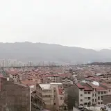 اخبار شهرک سرو آزاد