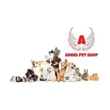 پت شاپ آنجل(قزوین)