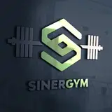 Sinergym.ir