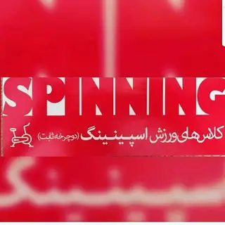 اسپینینگ و تی ار ایکس غرب