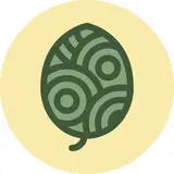Basil Pasta