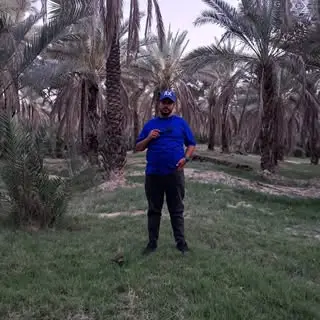 Mehdi.6467
