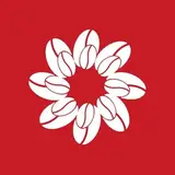 کافه پیکولو