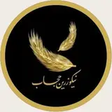 مزون مانتو،چادر | نیکوزرین