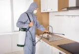 سمپاشی در تهران شرکت سمپاشی با مجوز رسمی از وزارت بهداشت سم پاشی در تهران تماس با سمپاش تهران